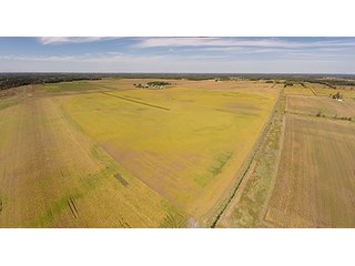 Property photo 13 - REAL ESTATE AUCTION - 230+/- ACRES IN 2 TRACTS IN STARKE COUNTY